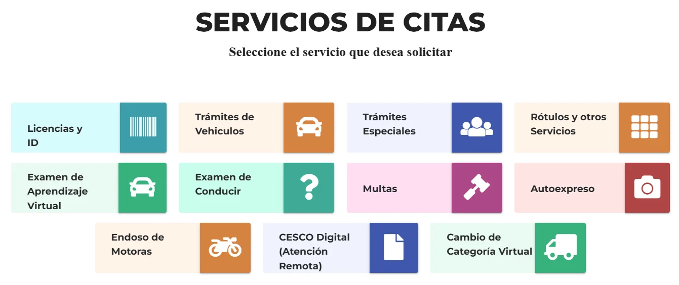 servicio de citas del cesco